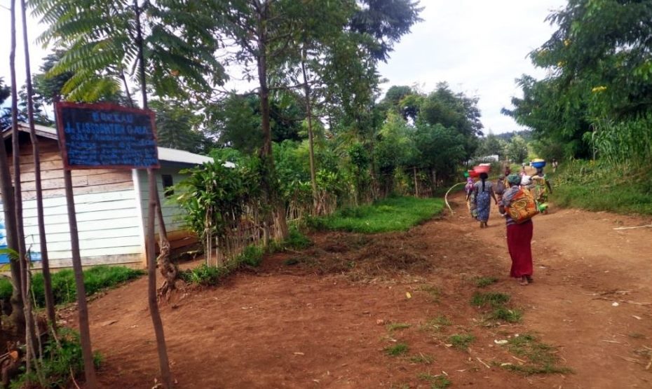 creator-gd-jpeg-v1-0-using-ijg-jpeg-v62-quality-82