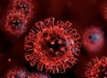 coronavirus-covid-19-1-150x110-2057078