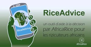 RiceAdvice