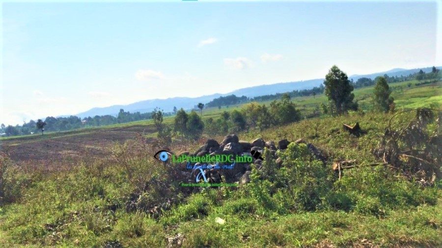 kabare-inera-8543996