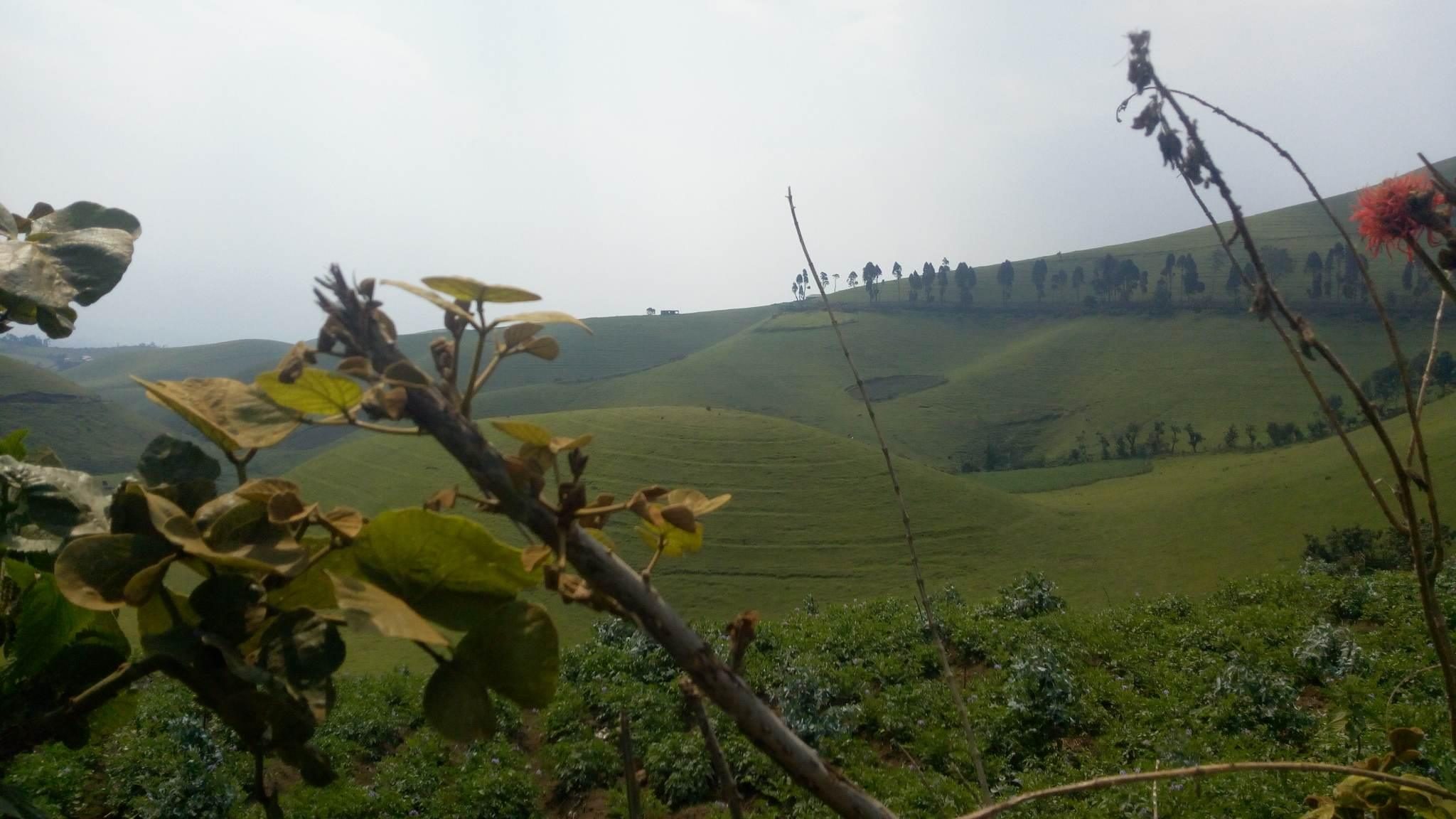 masisi-nord-kivu-2033531