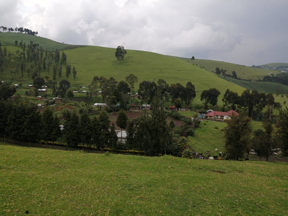 mushaki-7475222