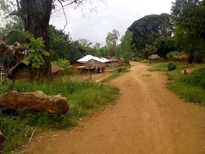 en-territoire-de-beni-au-nord-kivu-ph-laprunellerdc-info_-8315188