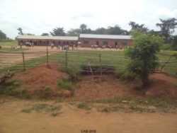 kabambare-250x188-7938456