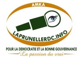 logo-laprunelle-250x188-8729560
