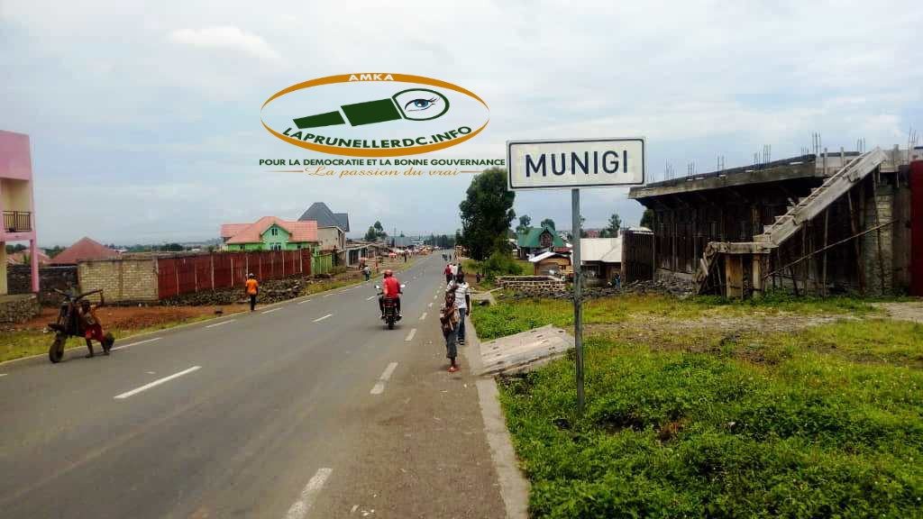 munigi-2383088