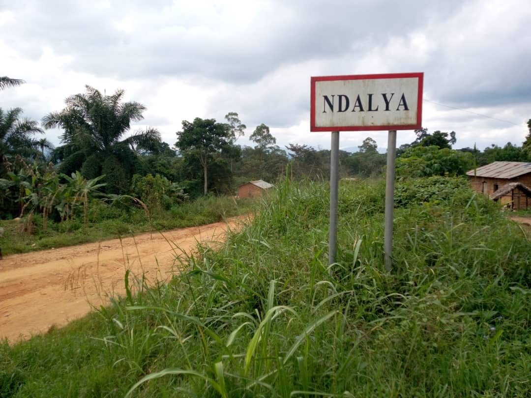 ndalya-irumu-4263888