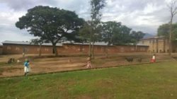 kiliba-250x140-5060079