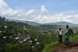 masisi-1024x682-1-250x167-1606491