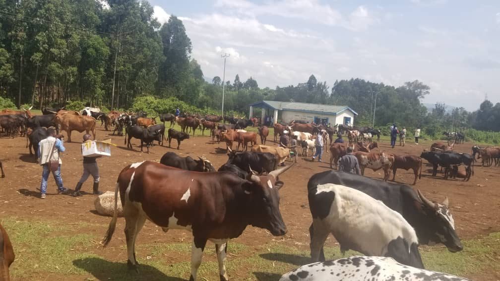 8f37b4d2-b971-4193-a208-2aa4109a5be3-9439089