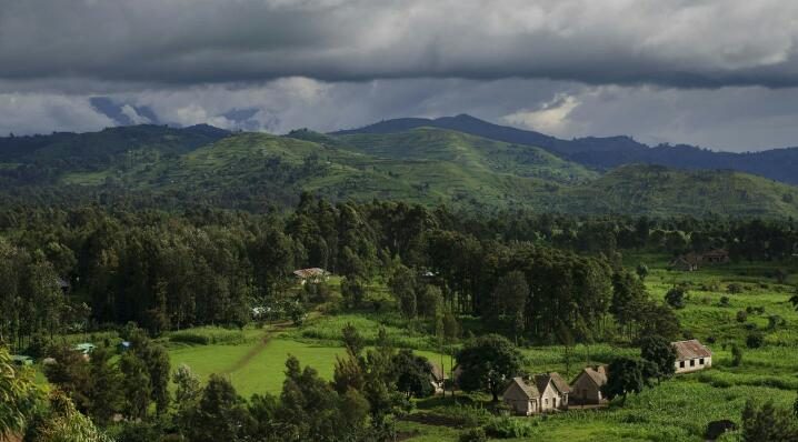 parc-des-virunga-8043454