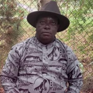 tomyy-300x300-8657587