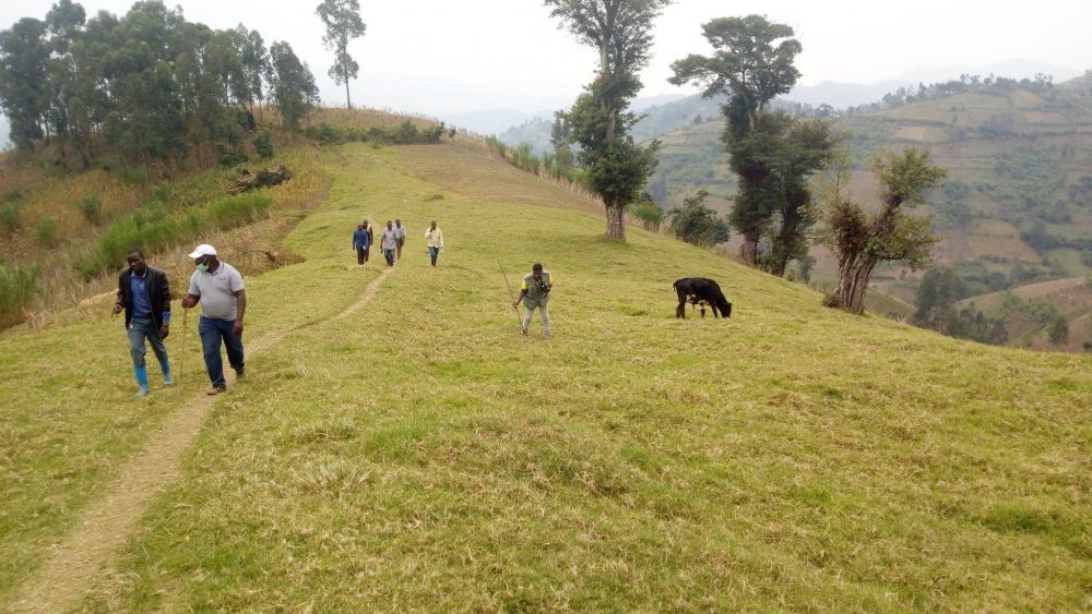 territoire-masisi-e1644061446212-7403228