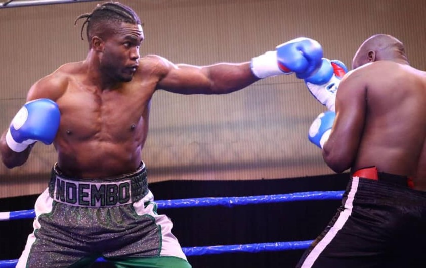La Boxe Congolaise : Champions Et Moments Historiques