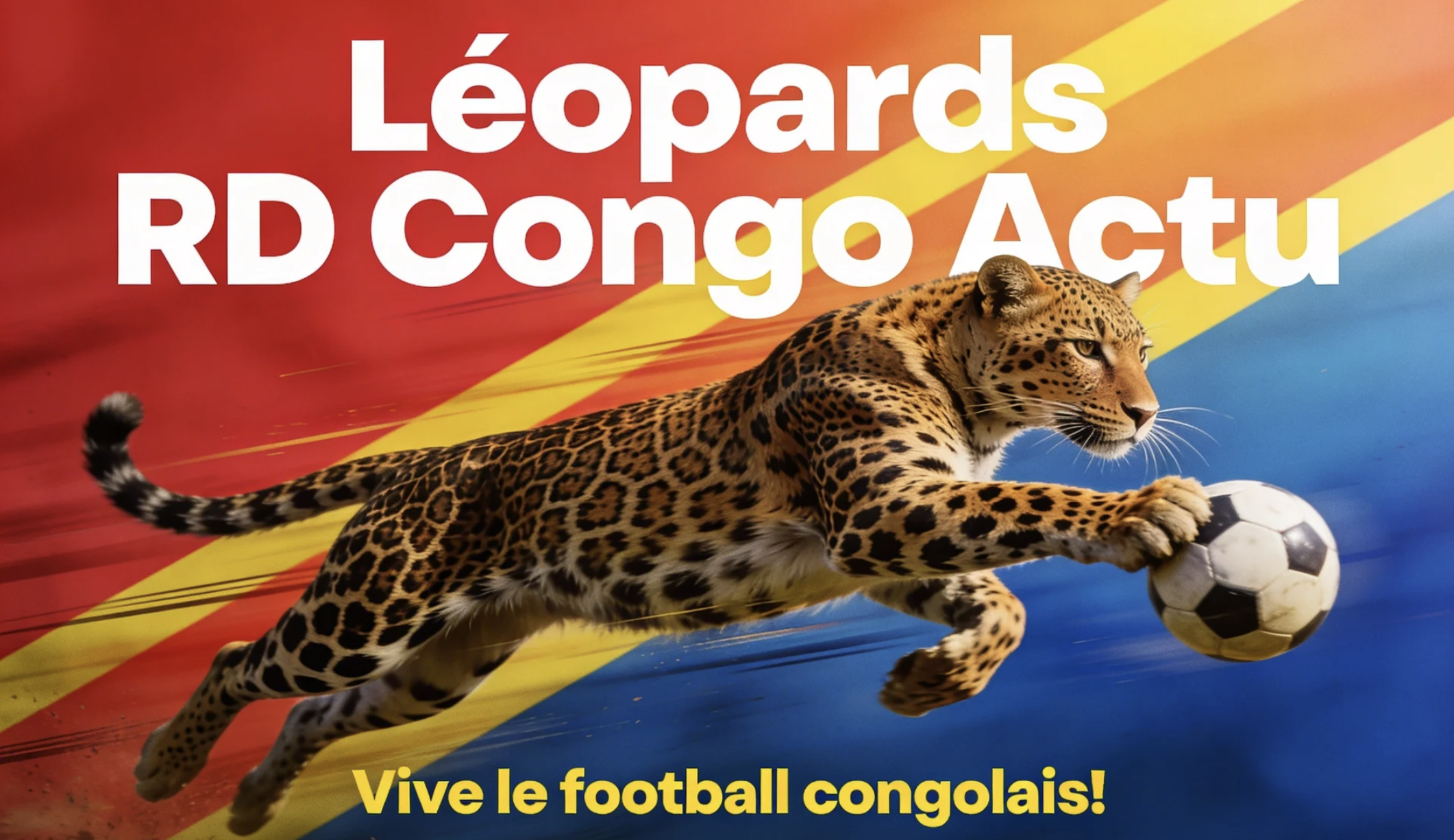 Blessures Des Léopards RD Congo Actu